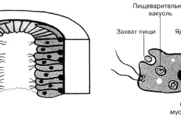 Взломали аккаунт кракен