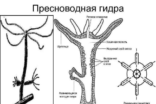 Дарк нет кракен