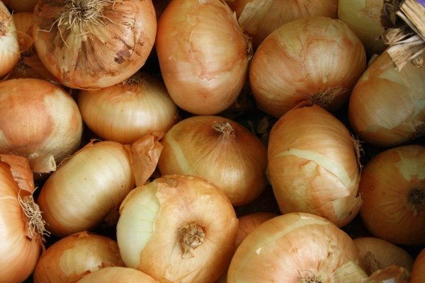 Kraken onion ссылка