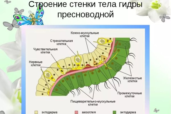 Ссылки кракен 2024