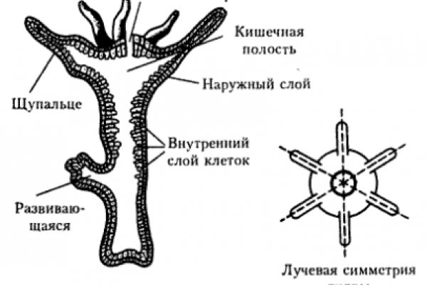 Кракен ссылка kr2link co